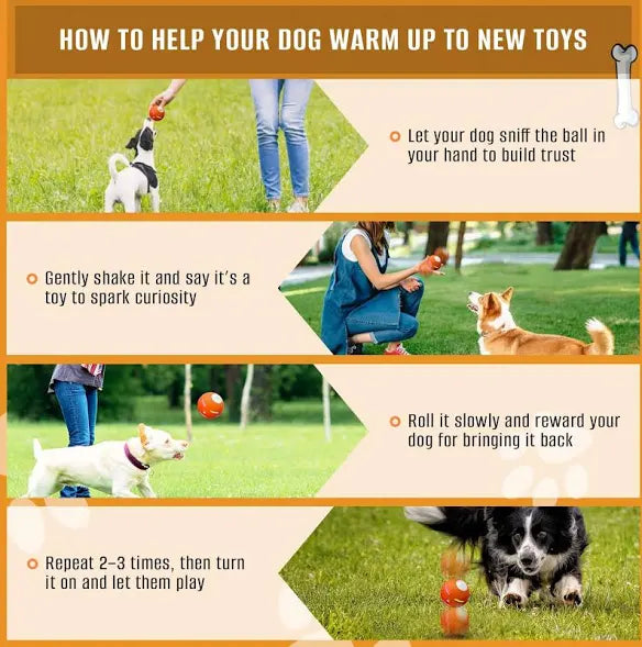 Interactive Dog Toys Dog Ball, [2025 Newly Upgraded] Durable Motion Activated Automatic Rolling Ball Toys