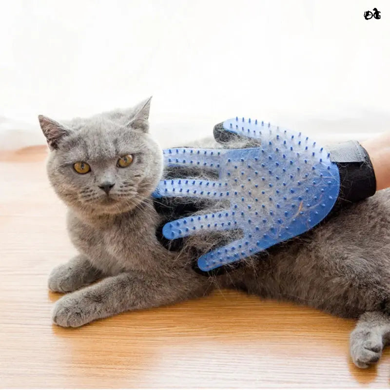 THE Paw Pamper - Pet Grooming Glove